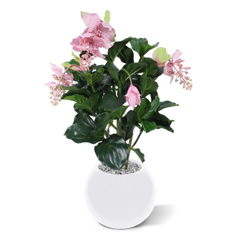 Medinella deluxe pianta artificiale 100cm