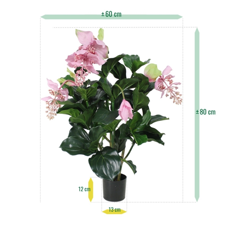 Medinella deluxe pianta artificiale 100cm