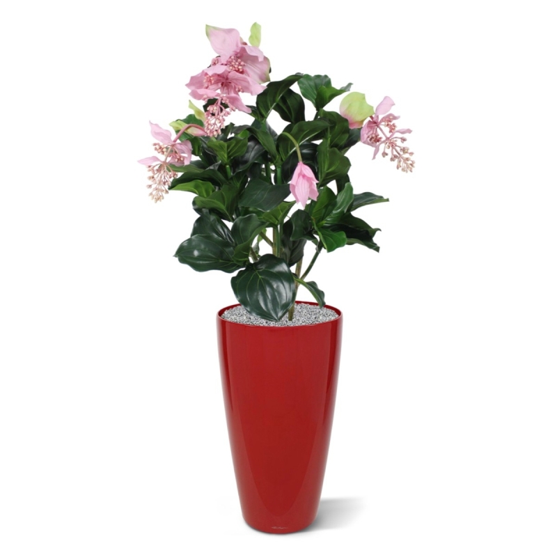 Medinella deluxe pianta artificiale 100cm
