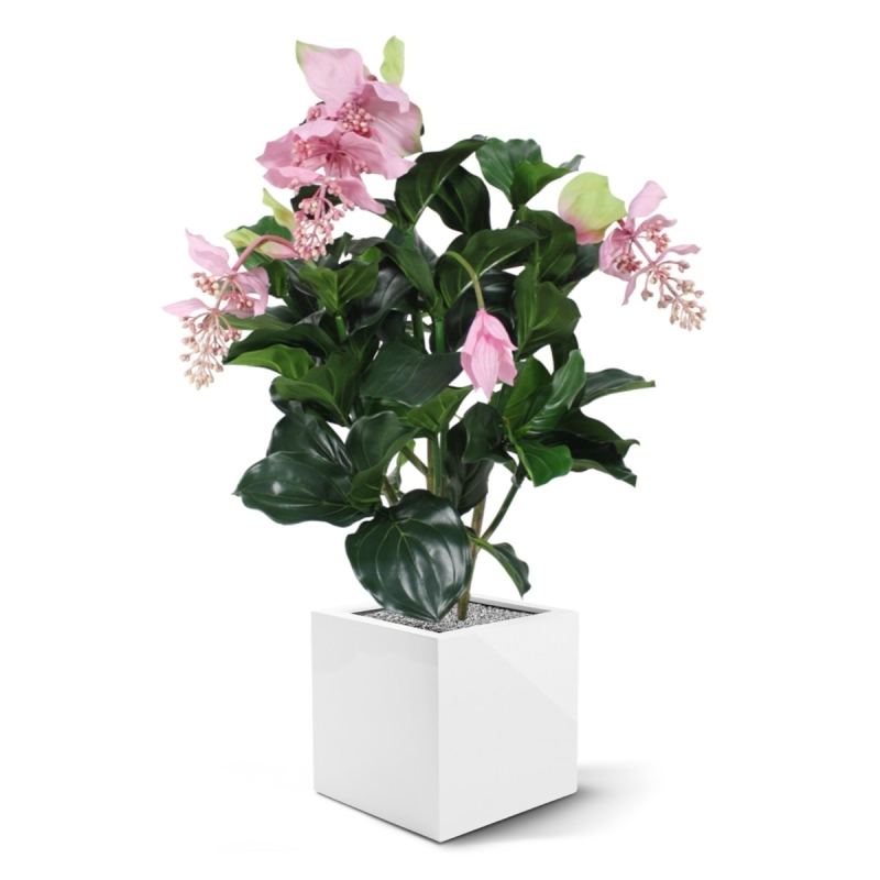 Medinella deluxe pianta artificiale 100cm
