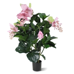 Medinella deluxe pianta artificiale 100cm