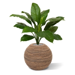 Bouquet artificiale Spathiphyllum King 80 cm verde