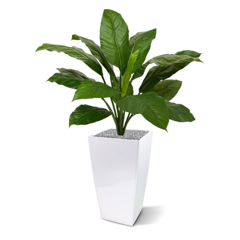 Bouquet artificiale Spathiphyllum King 80 cm verde