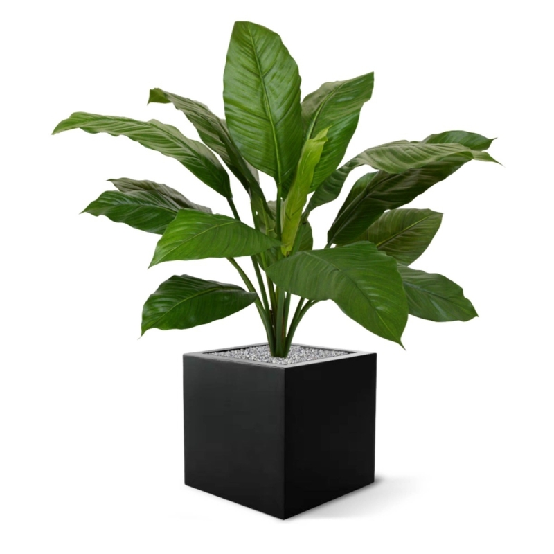 Bouquet artificiale Spathiphyllum King 80 cm verde