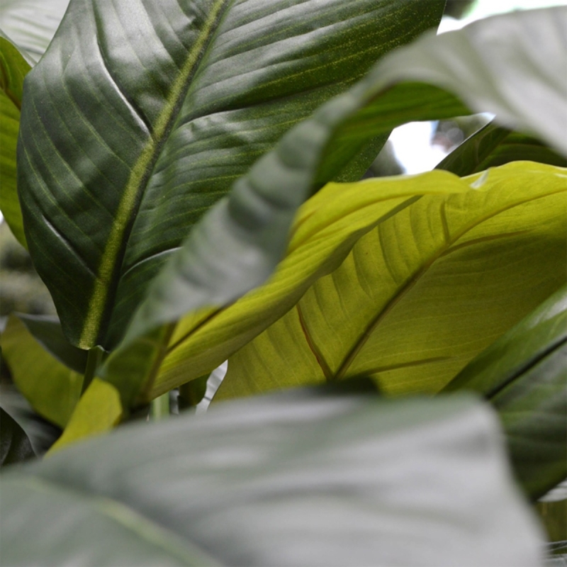 Bouquet artificiale Spathiphyllum King 80 cm verde