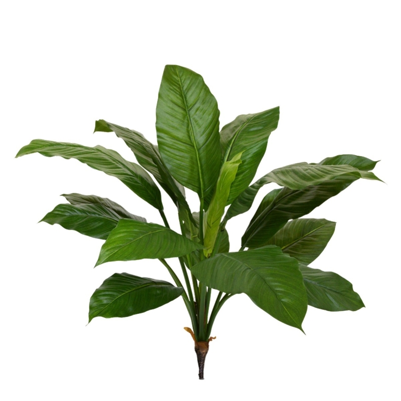 Bouquet artificiale Spathiphyllum King 80 cm verde