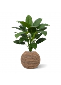 Pianta artificiale Spathiphyllum King 100cm - verde