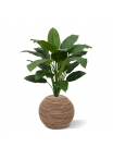 Pianta artificiale Spathiphyllum King 100cm - verde