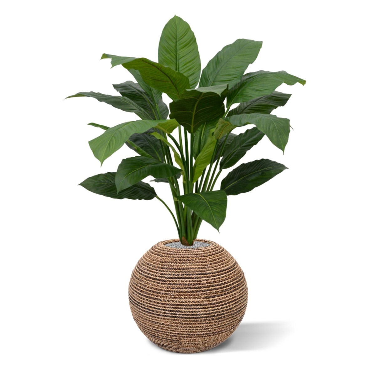 Pianta artificiale Spathiphyllum King 100cm - verde
