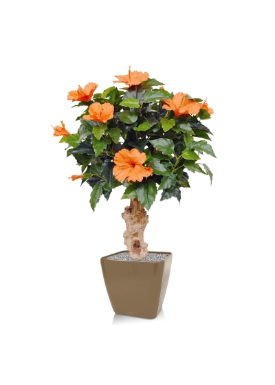 Pianta artificiale di ibisco su base 65 cm - arancione
