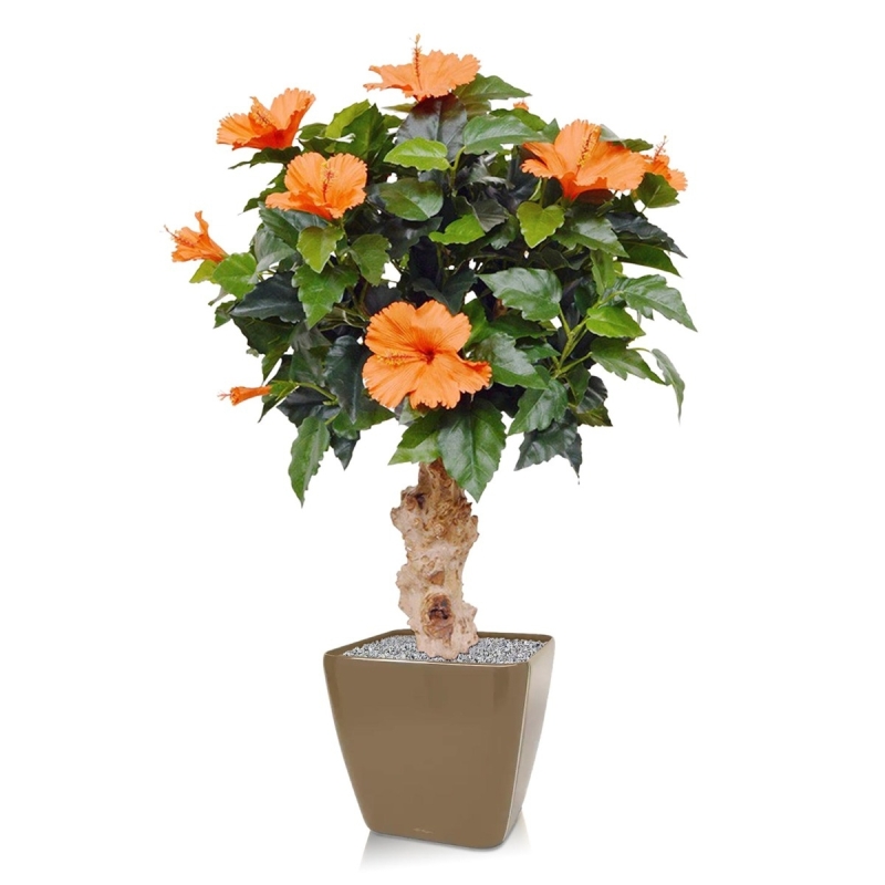 Pianta artificiale di ibisco su base 65 cm - arancione