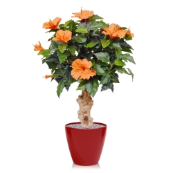 Pianta artificiale di ibisco su base 65 cm - arancione