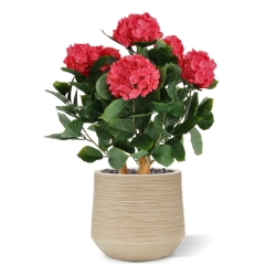 Ortensia Artificiale UV Deluxe 65cm Cerise