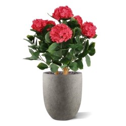 Ortensia Artificiale UV Deluxe 65cm Cerise
