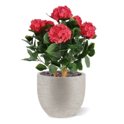 Ortensia Artificiale UV Deluxe 65cm Cerise