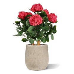 Ortensia Artificiale UV Deluxe 65cm Cerise