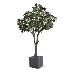 Albero artificiale Magnolia XL 300 cm su base