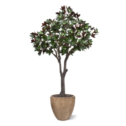 Albero artificiale Magnolia XL 300 cm su base