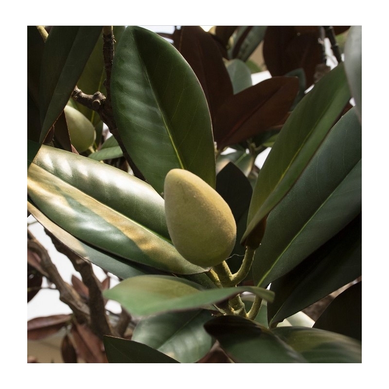 Albero artificiale Magnolia XL 300 cm su base