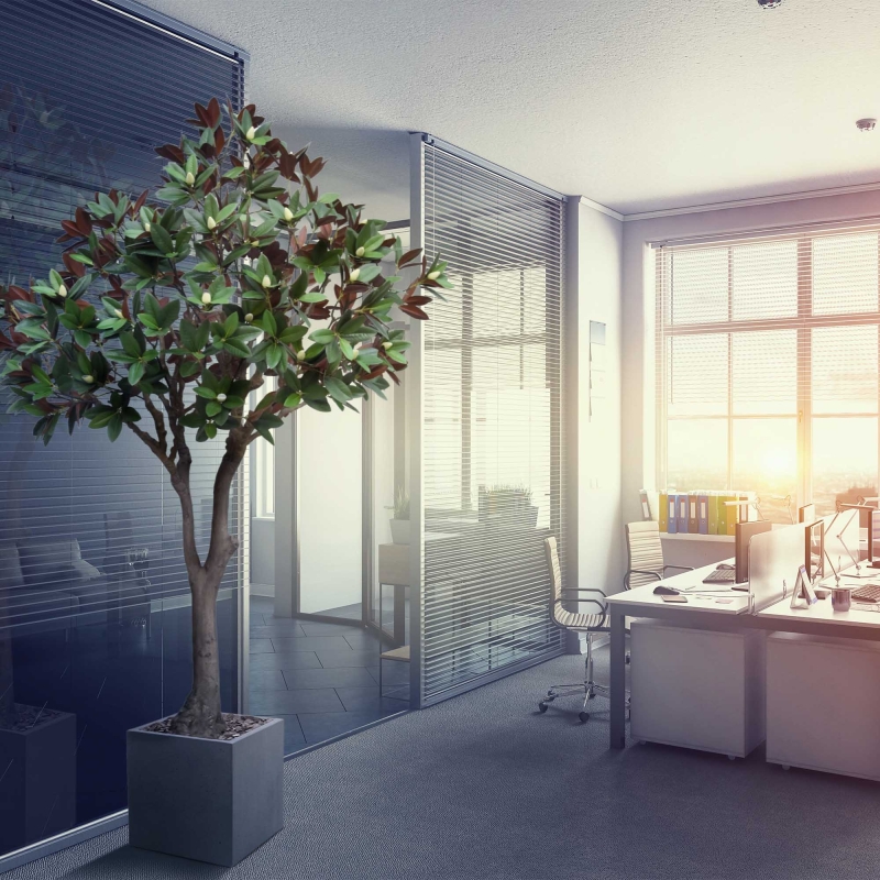 Albero artificiale Magnolia XL 300 cm su base