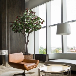 Albero artificiale Magnolia XL 300 cm su base