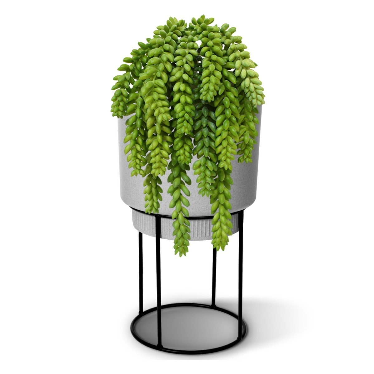 Sedum Coda d'asino pianta artificiale 30 cm