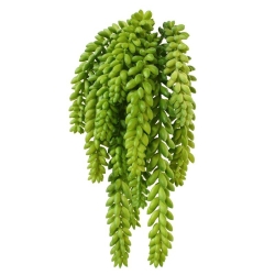 Sedum Coda d'asino pianta artificiale 30 cm