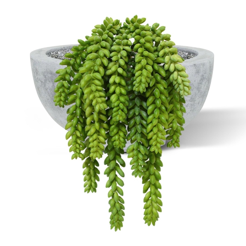 Sedum Coda d'asino pianta artificiale 30 cm
