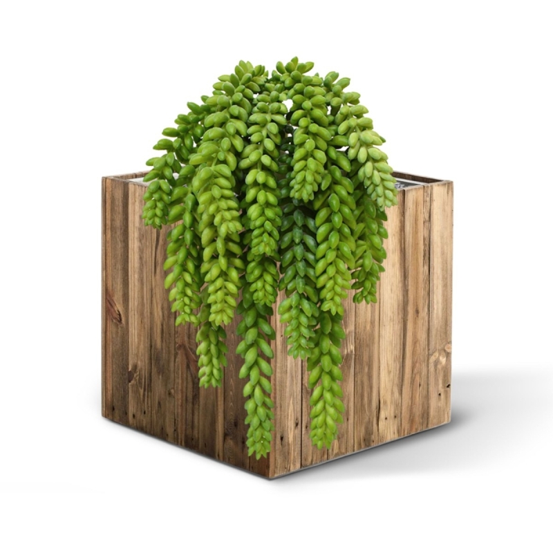 Sedum Coda d'asino pianta artificiale 30 cm