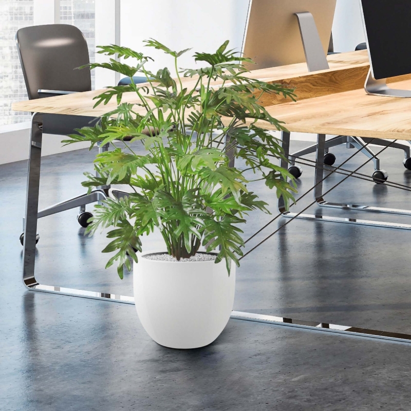 Philo Xanadu deluxe pianta artificiale 110 cm