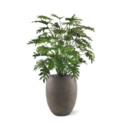 Philo Xanadu deluxe pianta artificiale 110 cm