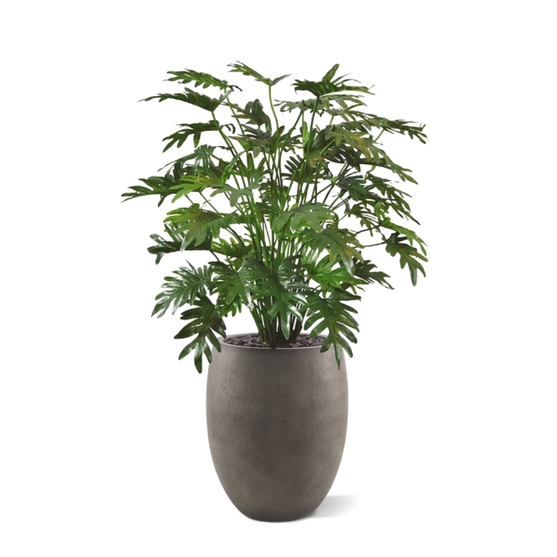 Philo Xanadu deluxe pianta artificiale 110 cm