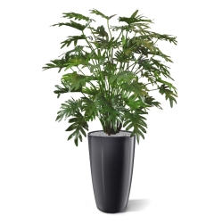 Philo Xanadu deluxe pianta artificiale 110 cm