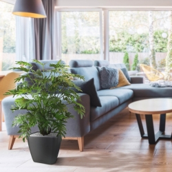 Philo Xanadu deluxe pianta artificiale 110 cm