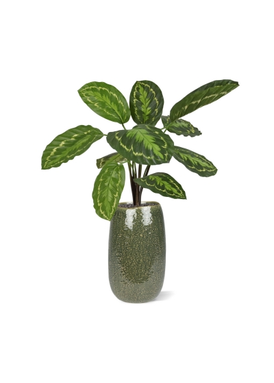 Calathea Roseopicta Pianta artificiale 50 cm