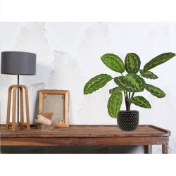 Calathea Roseopicta Pianta artificiale 50 cm