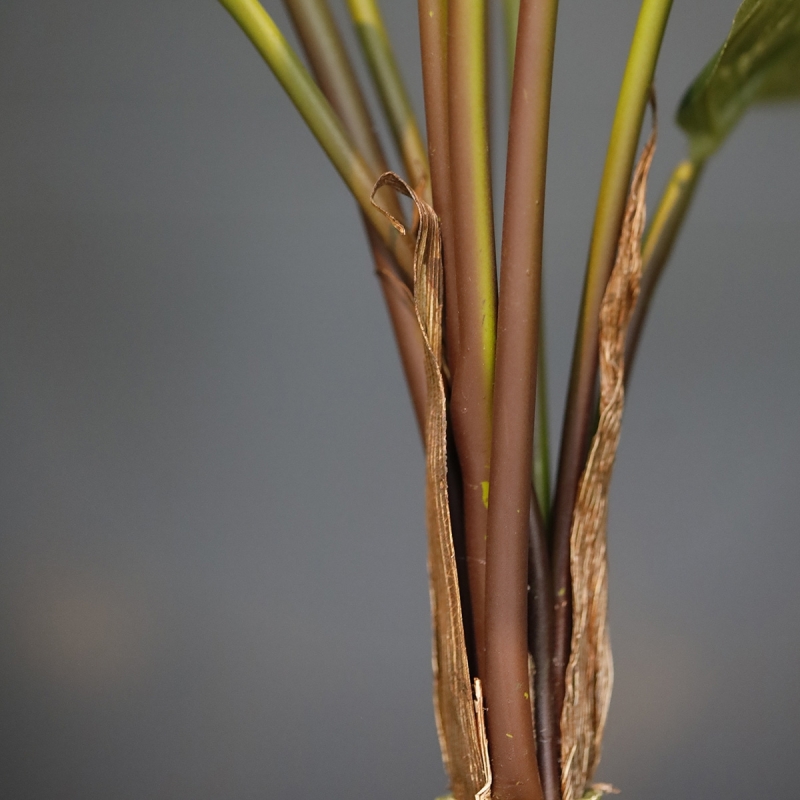 Calathea Roseopicta Pianta artificiale 50 cm