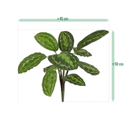 Calathea Roseopicta Pianta artificiale 50 cm