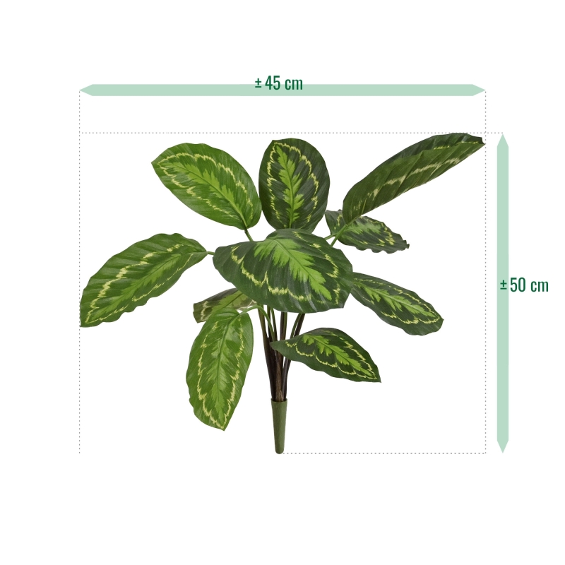 Calathea Roseopicta Pianta artificiale 50 cm