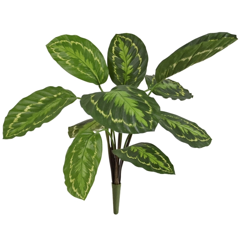 Calathea Roseopicta Pianta artificiale 50 cm