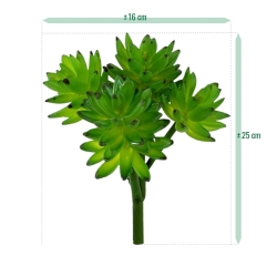 Bouquet di succulente Echeveria x22