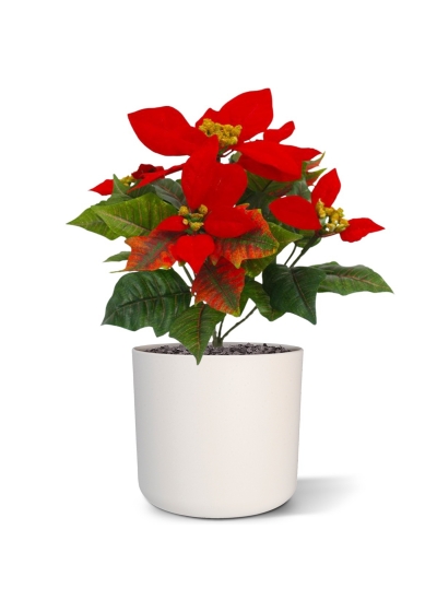 Pianta artificiale Poinsettia 25cm - rosso