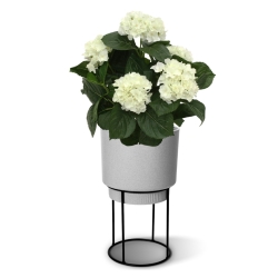 Pianta artificiale di ortensia deluxe 45 cm - crema