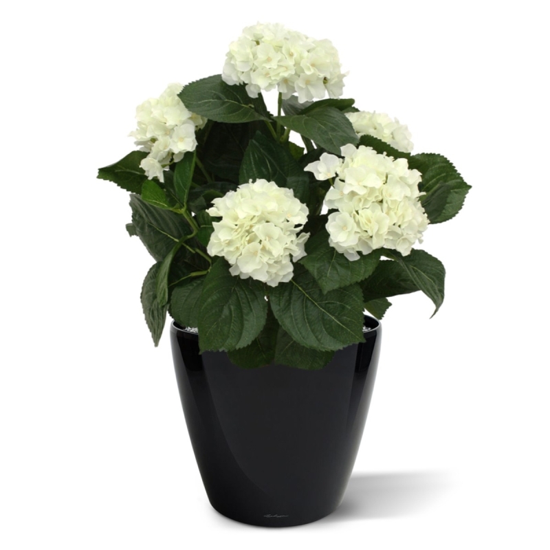 Pianta artificiale di ortensia deluxe 45 cm - crema