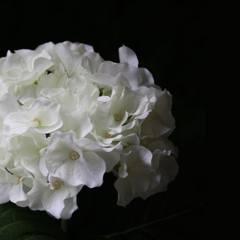 Pianta artificiale di ortensia deluxe 45 cm - crema