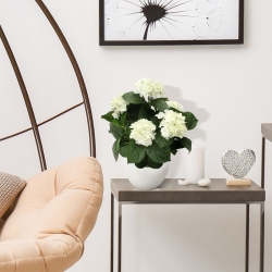 Pianta artificiale di ortensia deluxe 45 cm - crema