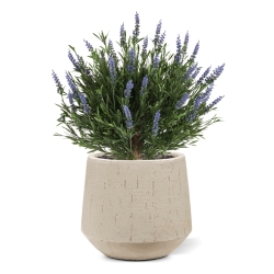 Artificiale Lavanda Sfera UV Blu 60cm in vaso