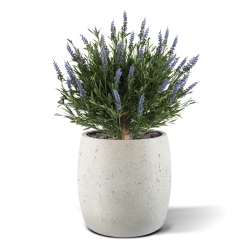 Artificiale Lavanda Sfera UV Blu 60cm in vaso