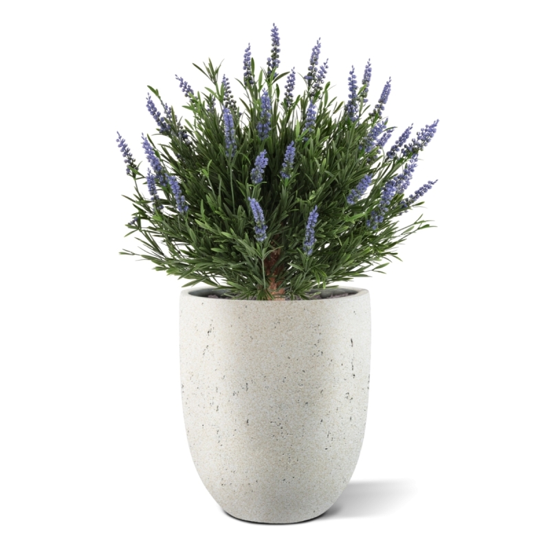 Artificiale Lavanda Sfera UV Blu 60cm in vaso