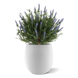 Artificiale Lavanda Sfera UV Blu 60cm in vaso